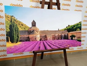 Tablou Provence cu câmpuri de lavandă