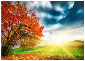 Tablou pe sticlă peisaj cu scufundat în razele solare (70x50 cm)