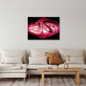 Tabloul cu fractali roz (70x50 cm)