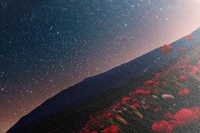 Tablou luncă de maci sălbatici sub stele