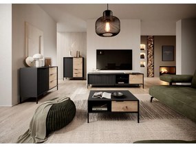 Comoda neagra in decor artizanal de stejar RAVE 2D2S