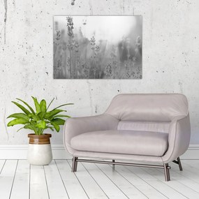 Tablou pe sticlă - Lavanda (70x50 cm)