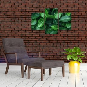 Tablou - Frunze verzi (90x60 cm)