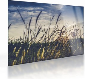Tablou pe sticlă cu flori de câmp (70x50 cm)