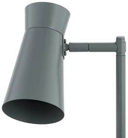 Lampa cu spot directionabil LORD 8872 salvie