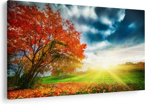 Tablou peisaj cu scufundat în razele solare (90x60 cm)