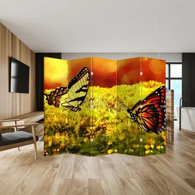 Paravan - Fluturi (210x170 cm)
