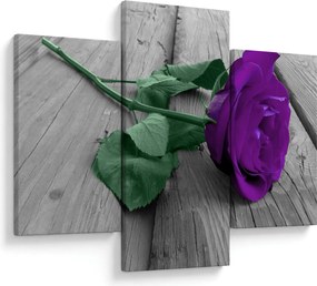 Tablou - Trandafir violet cu tulpina verde (90x60 cm)