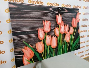 Tablou lalele portocalii fermecătoare pe fundal de lemn