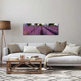 Tablou - câmp de lavandă și munți (cu ceas) (90x30 cm)