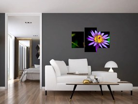 Tablou cu floare (90x60 cm)