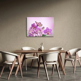 Tablou - Fluture pe flori de orhidee, liliac (70x50 cm)