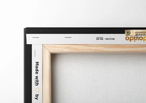 Tablou harta lumii trend