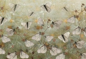 Fototapet - Fluturi, vintage (147x102 cm)