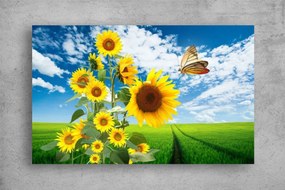 Tablouri Canvas Flori - Fluture si floarea soarelui