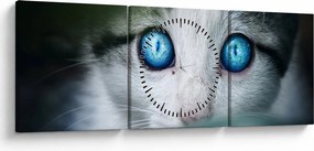 Tablou cu pisica (cu ceas) (90x30 cm)