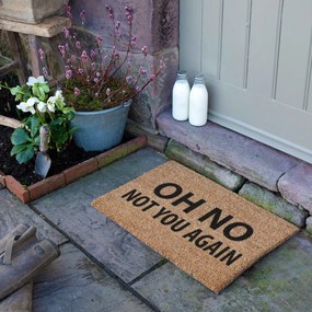 Covoraș de intrare din fibre de nucă de cocos 40x60 cm Not You Again – Artsy Doormats