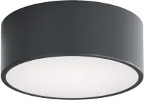 Brilagi - Plafonieră de baie CLARE 1xE27/24W/230V Ø 20 cm antracit IP54