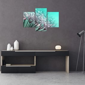 Tablou - planta cu rouă (90x60 cm)