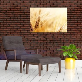 Tablou- detaliu cu (90x60 cm)