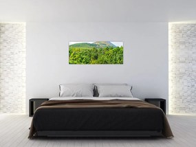 Tablou - Babi Hora, Polonia (120x50 cm)