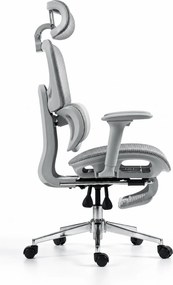 ErgoVanta Mesh — Scaun ergonomic, Suport lombar reglabil, Tetieră 2D, Cotiere reglabile, Mecanism cu blocare, Suport pentru picioare retractabil, Mesh, Gri