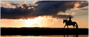 Tablou - Rider pe un cal la apus de soare (120x50 cm)
