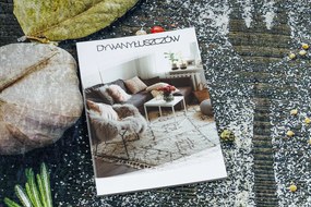 ANDRE 33150 covor lavabil Condimente, bucatarie, anti-alunecare - maro / bej