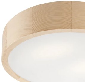 Plafonieră baie NATURAL 3xE27/15W/230V IP54 pin Ø 37 cm