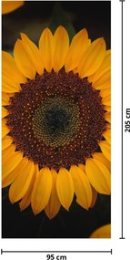 Fototapet pentru ușă - Floarea soarelui și frunze (95x205cm)