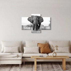 Tablou - Elefantul african II. (90x60 cm)