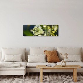 Tablou cu fluture (cu ceas) (90x30 cm)