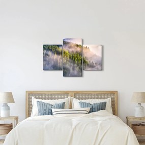 Tablou peisajului montan (90x60 cm)