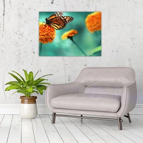 Tablou pe sticlă cu fluture (70x50 cm)