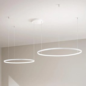 Ondaluce - Lustră LED dimabilă suspendată pe cablu SOEL LED/28W/230V + LED/38W albă