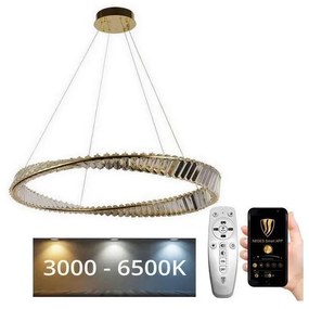 Lustră LED de cristal dimabilă pe cablu LED/50W/230V + telecomandă