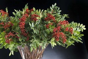 Aranjament floral design LUX, ETERNITY BOWL RED BERRIES 1141799.30