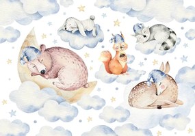 Fototapet - Animale dormind (254x184 cm)