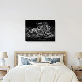 Tablou pe sticlă - Gheparzi care se odihnesc (70x50 cm)
