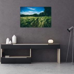 Tablou cu linca și pădure (90x60 cm)