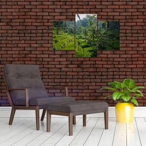 Tablou cu terasele cu orez Tegalalang, Bali (90x60 cm)