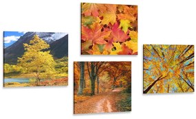 Set tablouri natura de toamnă în culori frumoase