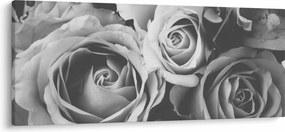 Tablou - Trandafir,alb-negru (120x50 cm)