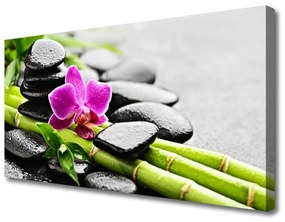 Tablou pe panza canvas Bamboo Tube flori Stones Arta Verde Rosu Negru