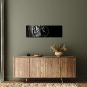 Tablou - Tigru sălbatic (cu ceas) (90x30 cm)