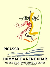 Ilustrație Picasso 1969, Finlay & Noa