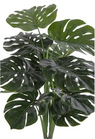 Monstera Minselia 1 (verde). Promo -16%. 1147175