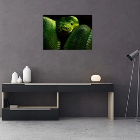 Tablou - Șarpele verde (70x50 cm)