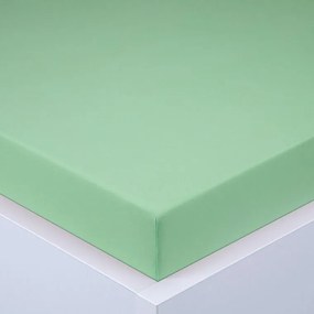 decoDoma Cearşaf cu elastic jersey EXCLUSIVE verde deschis 90 x 200 cm