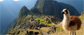 Tablou - Lama și Machu Picchu (120x50 cm)